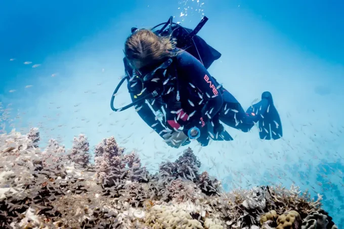Suunto zoop novo blue – easy-to-use dive computer with large display